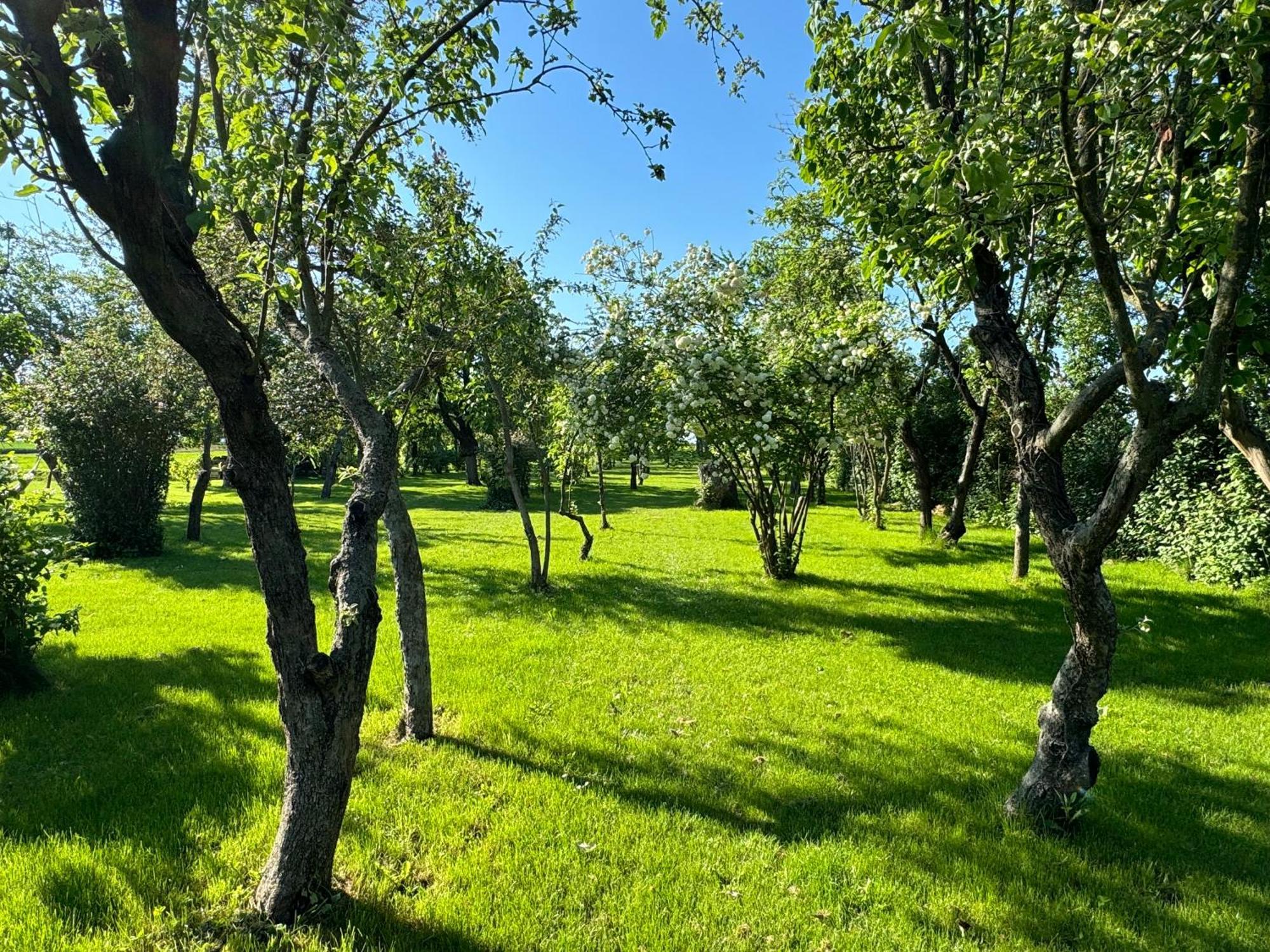 Domaine Des4 Roses Βίλα Furdenheim Εξωτερικό φωτογραφία